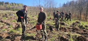 Akcja sadzenia drzew Akcja sadzenia drzew