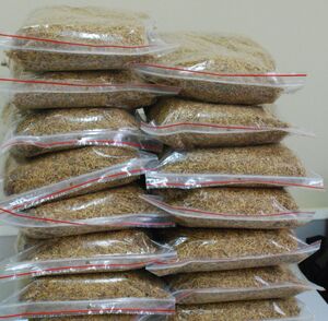 PSG w Zielonej Górze - Babimoście