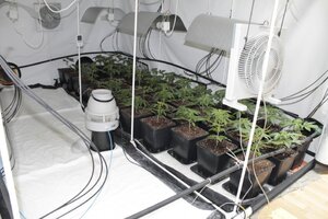 Fot.: KMP w Jaworznie