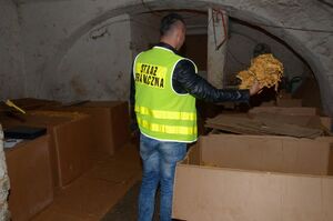 PSG w Jeleniej Górze