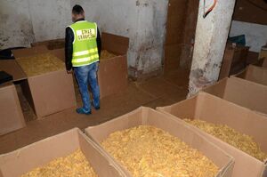 PSG w Jeleniej Górze